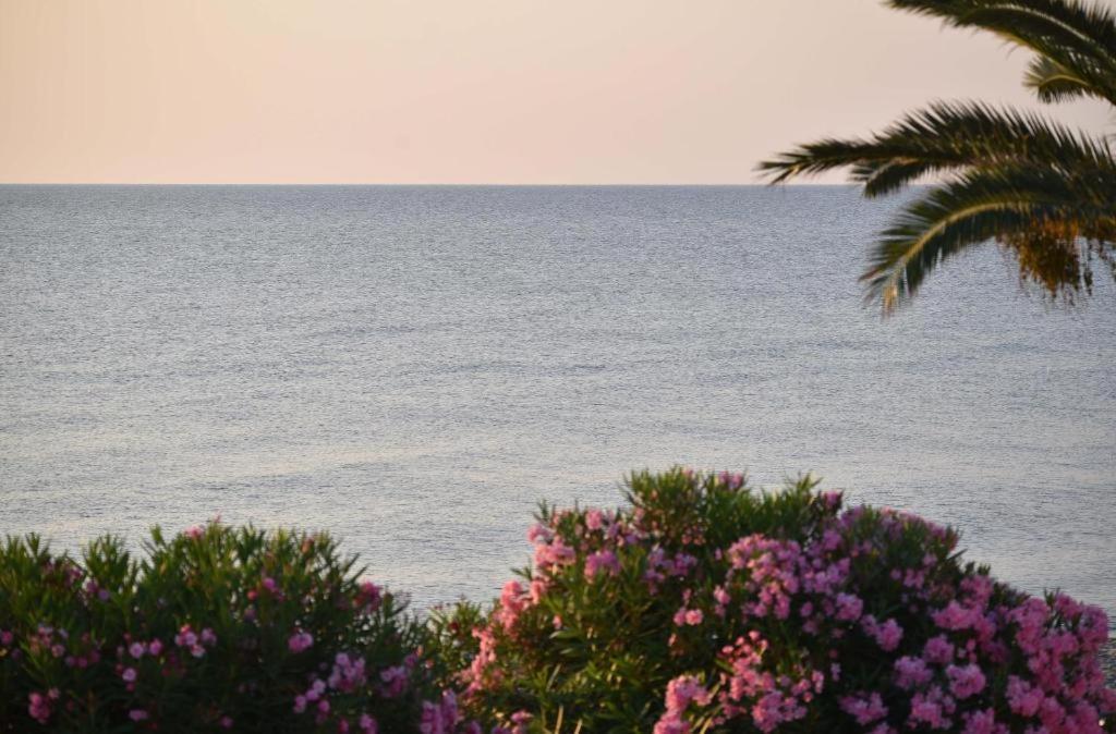 Residence San Pellegrino Folelli Luaran gambar